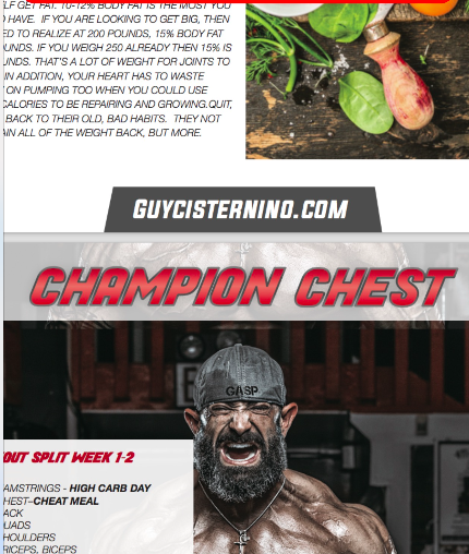 'CHAMPION CHEST' eBook