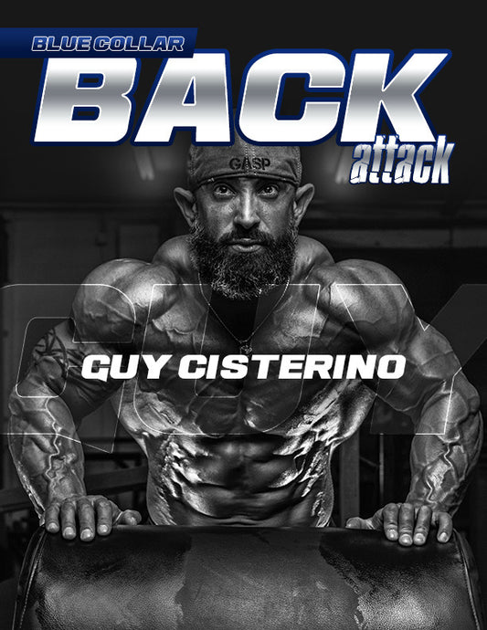 'Blue Collar BACK ATTACK' eBook